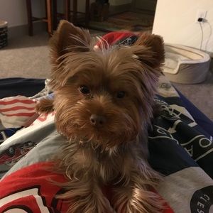 Meet your Posher, Roberta